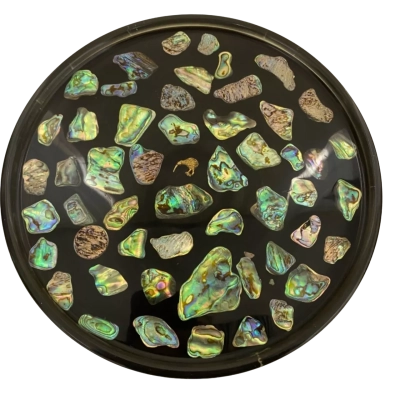 Abalone Shell Resin Display plate 