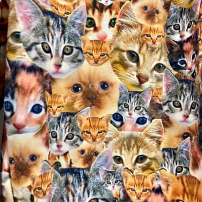 Blackmilk PussyCat Leggins Size M 