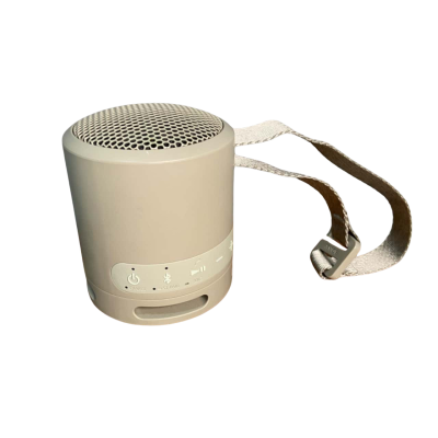 Sony SRS-XB13 Wireless Speaker 