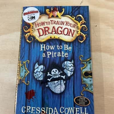 How to train your dragon: how to be a pirate