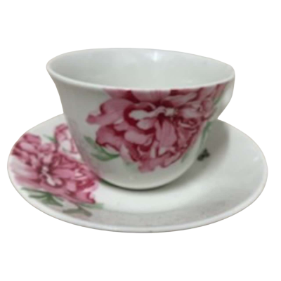 Royal Albert Miranda Kerr Design Tea Cup