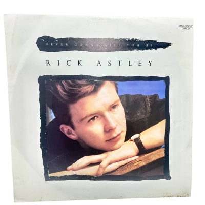 Rick Astley Never gonna give you up Vinyl LP Record 