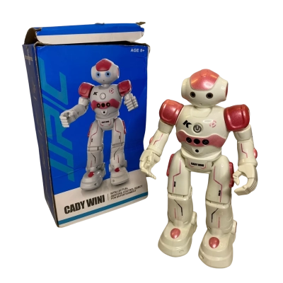 Cady Wini Intellectual Gesture Control Robot