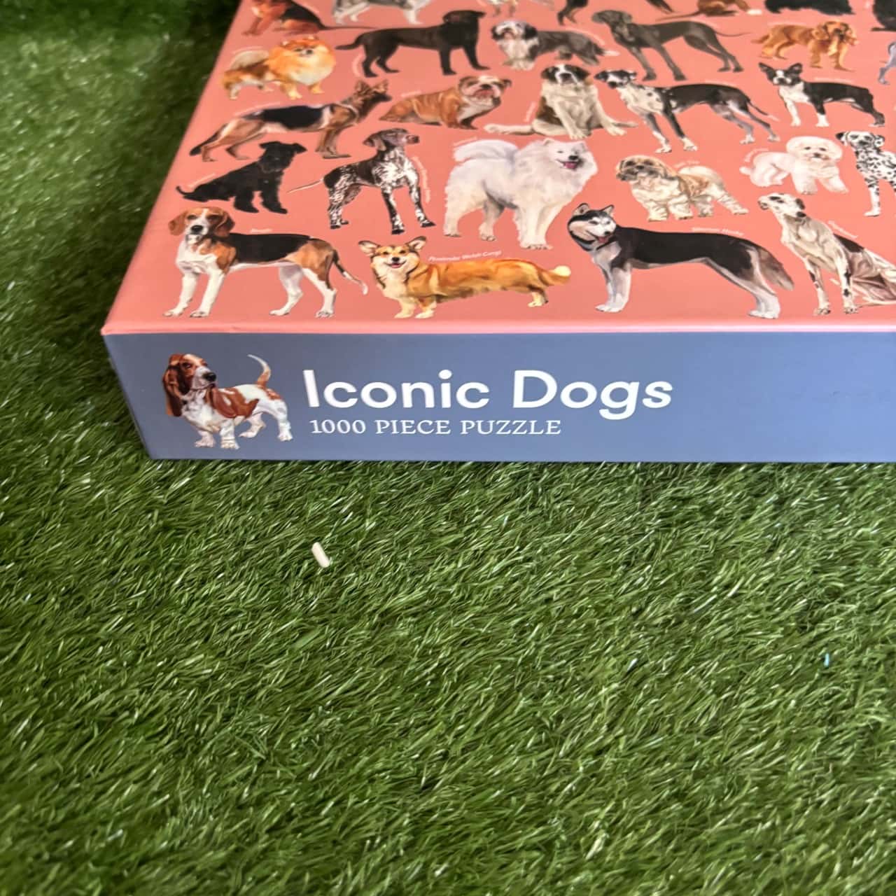Iconic Dogs: 1000 Piece Jigsaw Puzzle