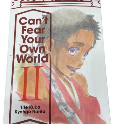 Bleach -can’t Fear your Own World II