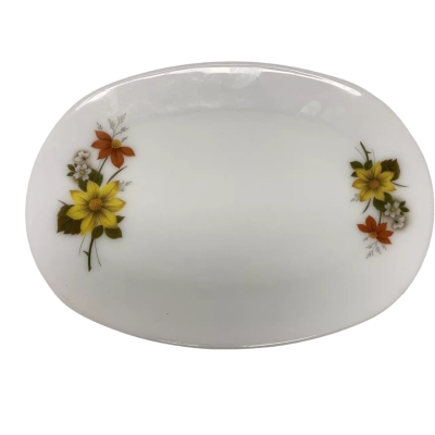 JAJ Pyrex Opaline Autumn Glory Design Steak Plate