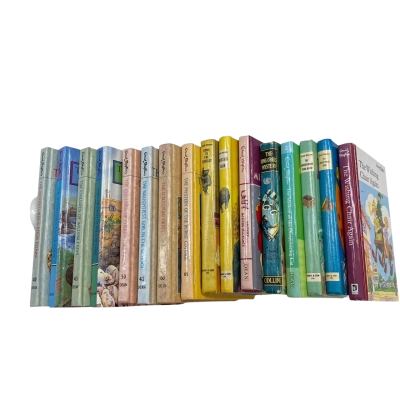 Enid Blyton Book Bundle(16)