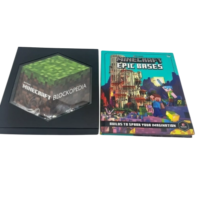 Minecraft Books