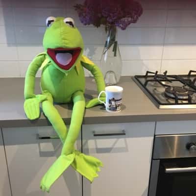 Large Plush Kermit The Frog Muppets Show Approx 1 mtr with posable arms & legs