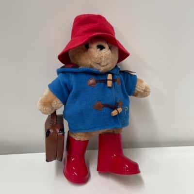 Paddington teddy bear rainbow designs
