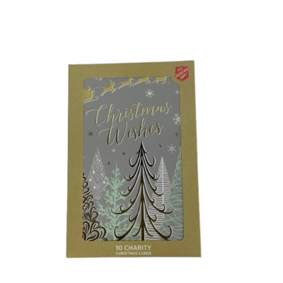 New The Salvation Army Charity Christmas Cards 10 Pack Silver Christmas Wishes Print  #2023-1-PP