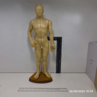 Vintage Chinese Rubber Acupuncture Anatomical Model