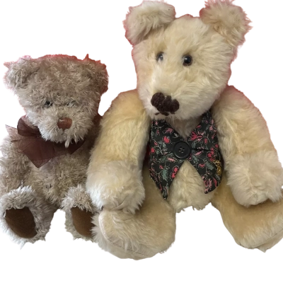 2 Teddy bears 