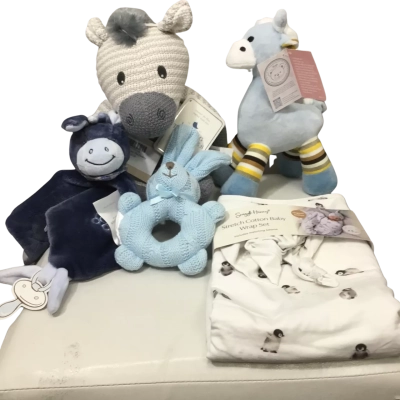 Baby Boy Bundle