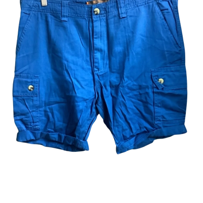 Ben Sherman Mens  shorts BNWTSize 38 Blue 