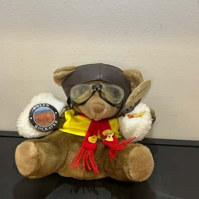 Tenderness bear flying bear