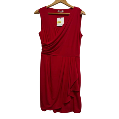 Calvin Klein Womens  Size 6 Red Dress BNWT