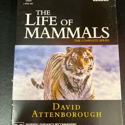 The life of mammals