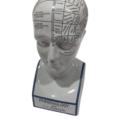 Phrenology by L.N Fowler Head Ornament 
