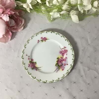 Vintage Shelley Pink Floral Fine Bone China Side Plate