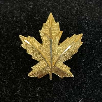  Vintage Coro Gold-Toned Maple Leaf Brooch