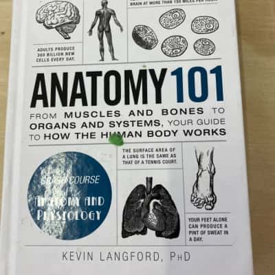 Anatomy 101