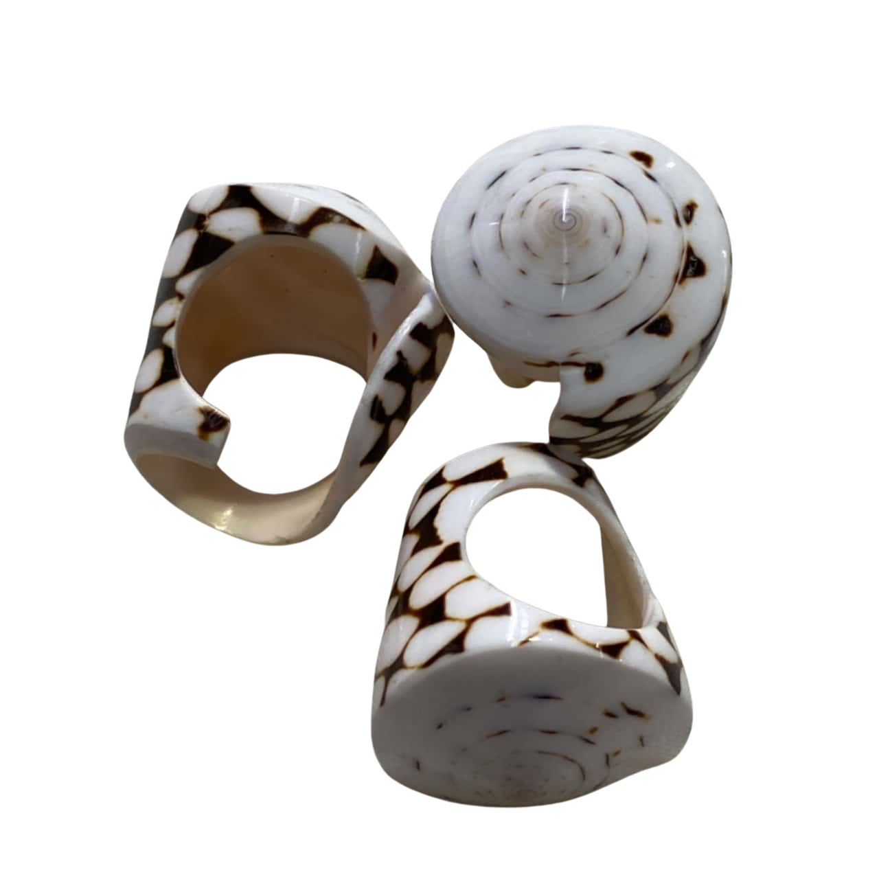 3 Women’s Real Shell Rings(s)