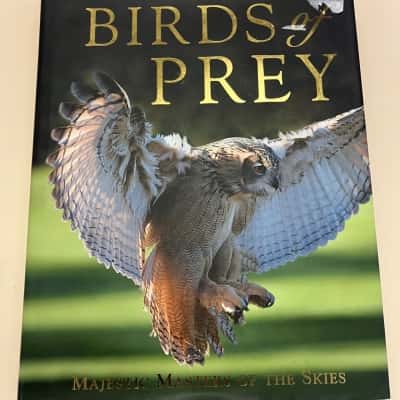 Birds of Prey Majestic Masters of the Skies