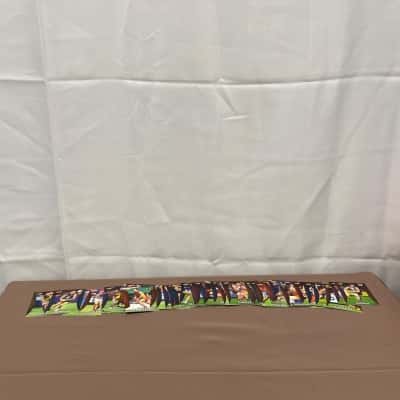 Selected  48 Footy Cards in bulk