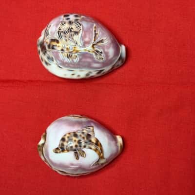 Carved Tiger Cowrie Shells