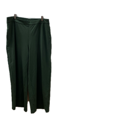 Blue Illusion Womens Pants Size XL Green 