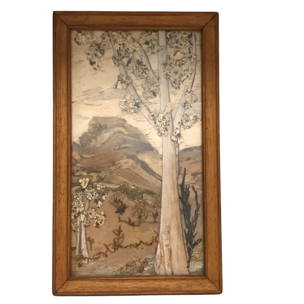 Vintage 1960s Australiana Bark Picture "Blue Gum" Made with moss & Bark