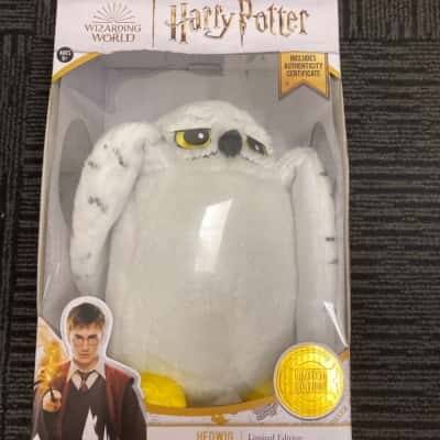 Harry Potter wizarding  World