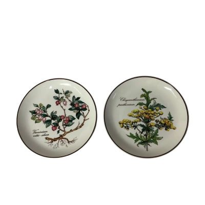 Villeroy & Boch Botanica 2 x Small Round Porcelain Dishes