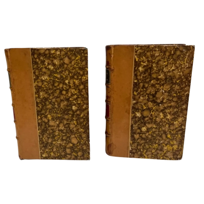 Antique 1880 French leather-bound Voltaire volumes — La Pucelle d’Orléans (2 vols)