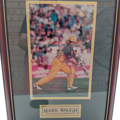 Mark Waugh Picture 