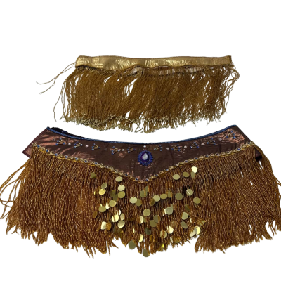 Belly dancing skirt 