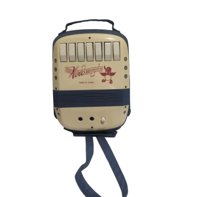 Hero vintage kids accordion