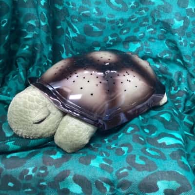 Cloud-b Twilight Turtle Night Light