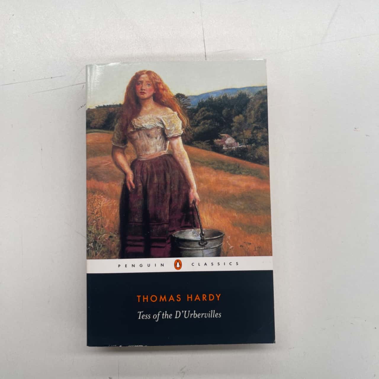 Thomas Hardy Tess of the D’Urbervilles(s)