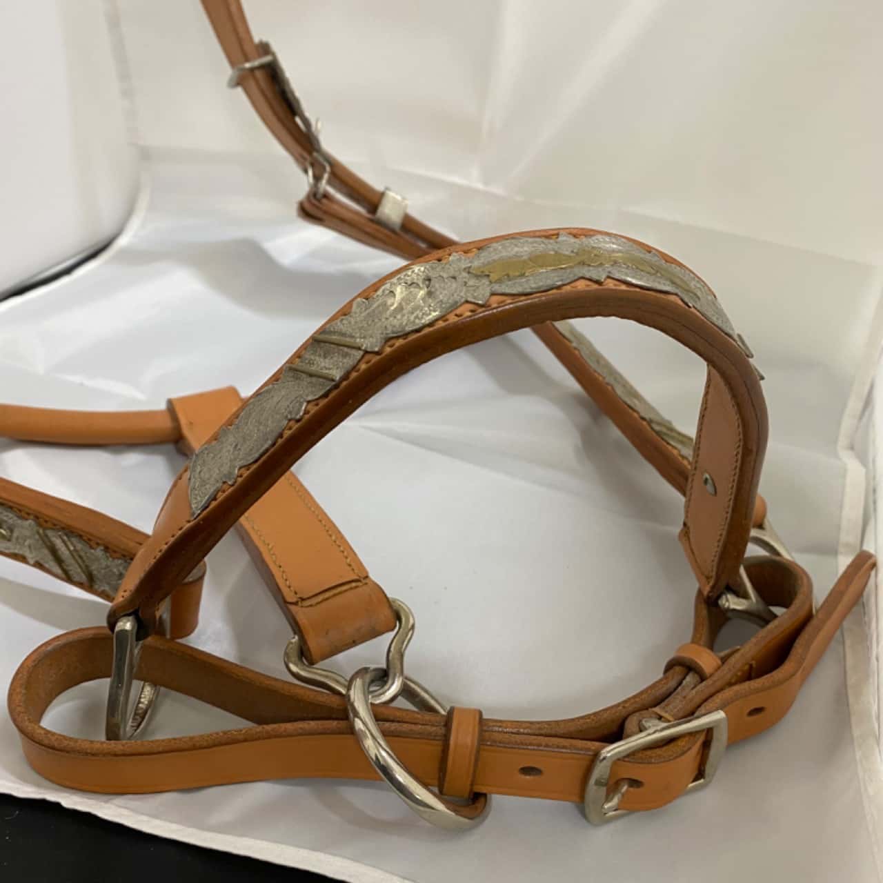 Leather Horse Show Halter with silver metal trim