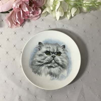 Poole "Persian Cat" Small Plate by Derick Bown