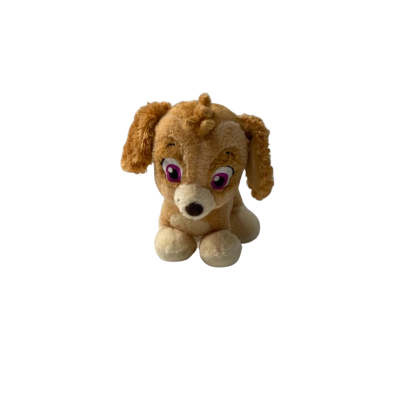 Nickelodeon Skye paw patrol