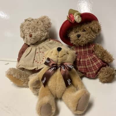 Three teddies 
