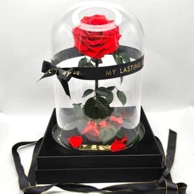 The Everlasting Rose - Luxe Bouquet’s Signature Everlasting Rose Dome A Lasting Belle One Year Roses       (Office top)