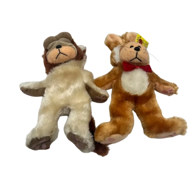 Beanie Kids Bears