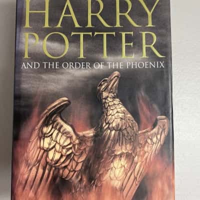 Large YA Novel