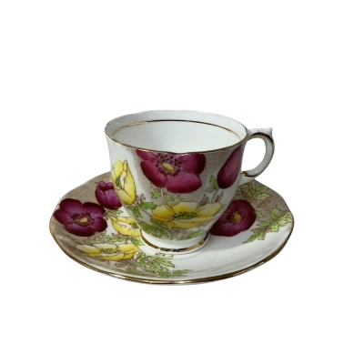 Vintage Salisbury Floral Pattern Fine Bone China Cup & Saucer