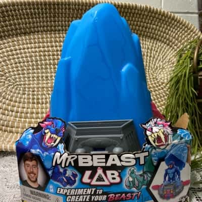 Mr Beast Lab