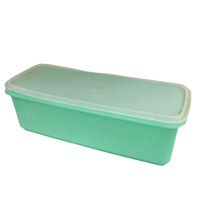 Vintage Green Celery / Vegetable Keeper as pictured
